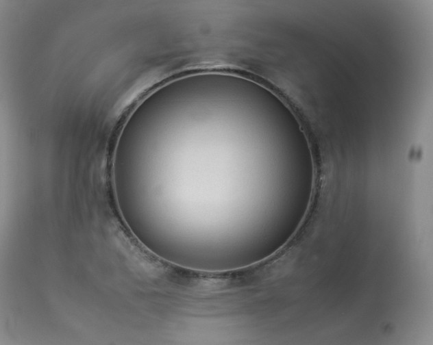 X0000114111173200910051506