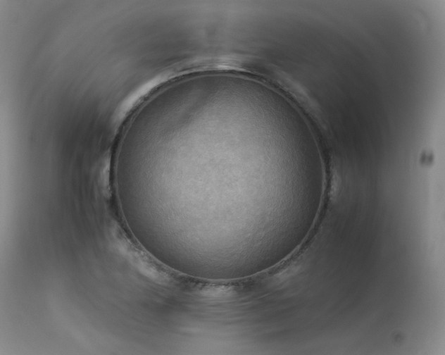 X0000114111174200910051506