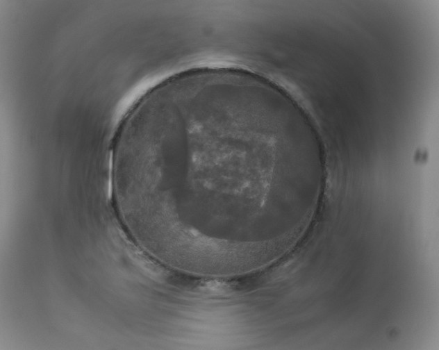 X0000114111175200910051506