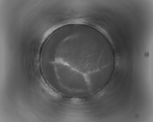 X0000114111176200910051506