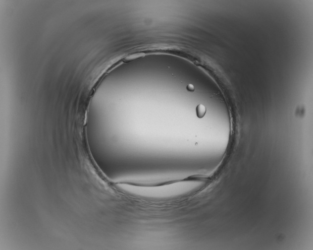 X0000114111177200910051506