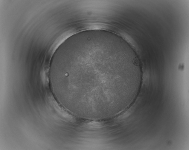X0000114111178200910051506