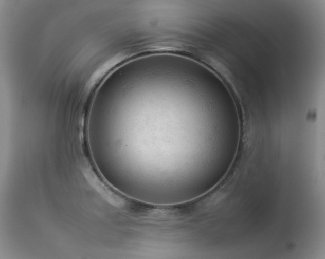X0000114111179200910051506
