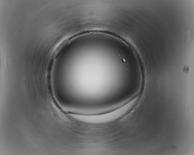 X0000114111181200910051506