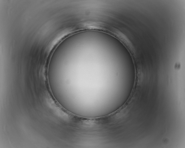 X0000114111182200910051506