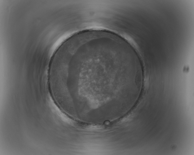 X0000114111183200910051506
