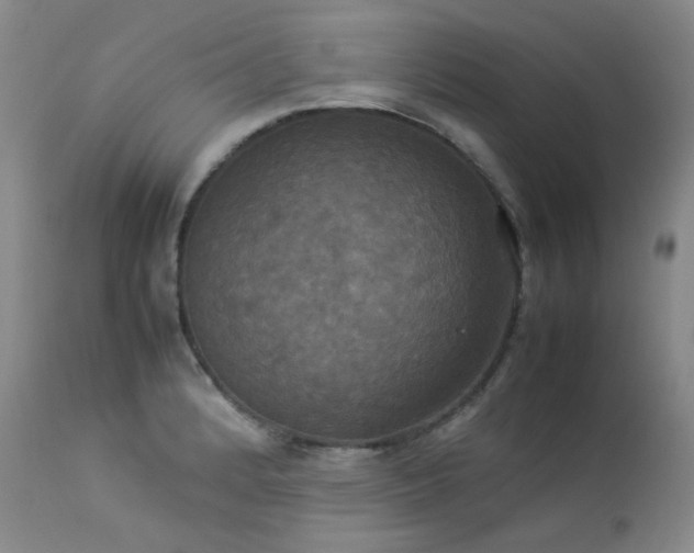 X0000114111184200910051506