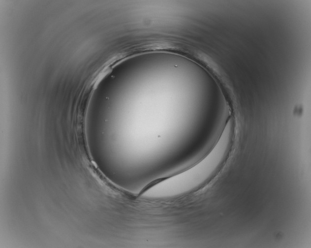 X0000114111185200910051506