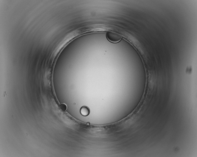 X0000114111186200910051506