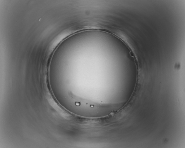 X0000114111187200910051506
