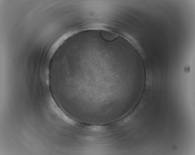 X0000114111188200910051506