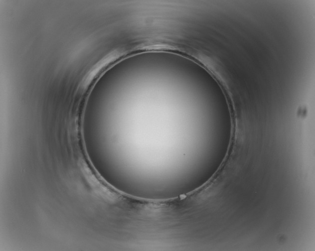 X0000114111189200910051506