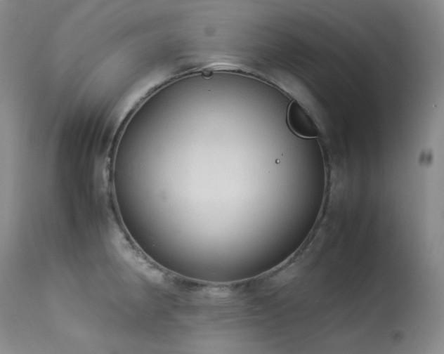 X0000114111190200910051506