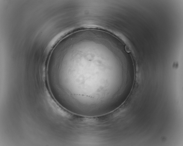 X0000114111191200910051506
