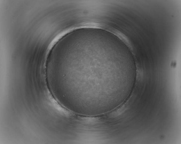 X0000114111192200910051506