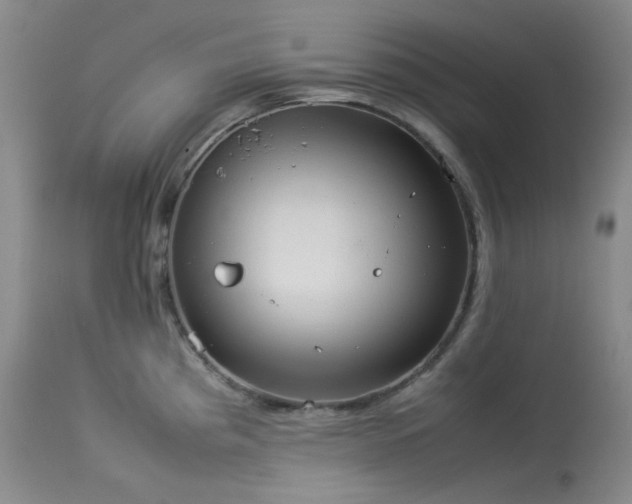 X0000114111193200910051506