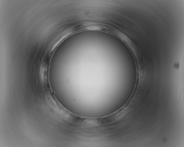 X0000114111194200910051506