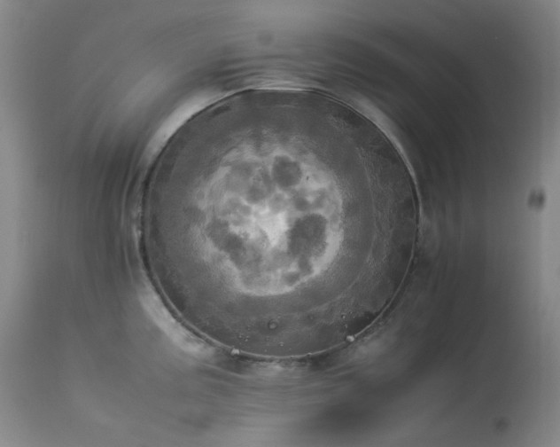 X0000114111195200910051506