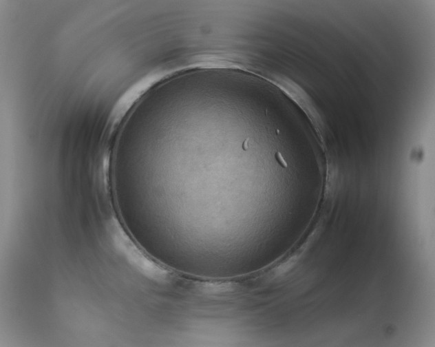 X0000114111196200910051506
