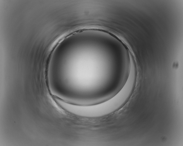X0000114111197200910051506