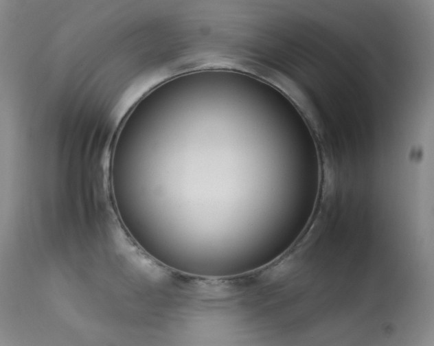 X0000114111198200910051506