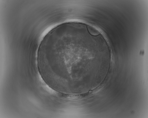 X0000114111199200910051506