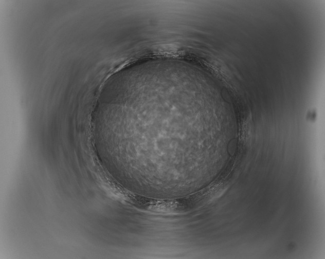 X0000114111201200910051505