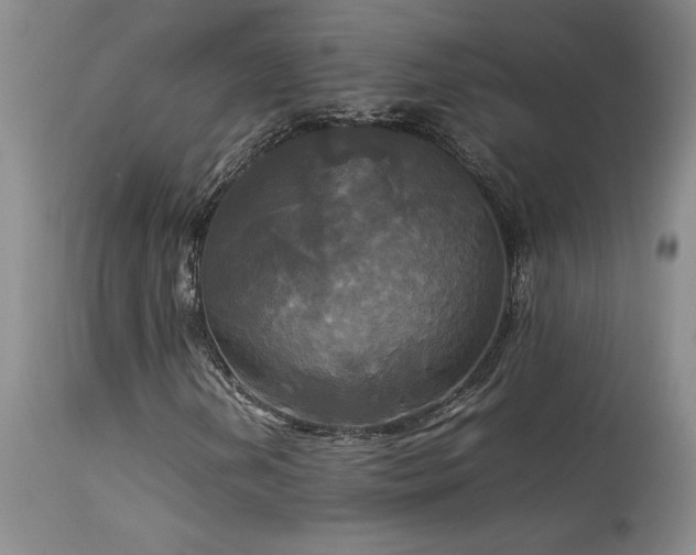 X0000114111202200910051505