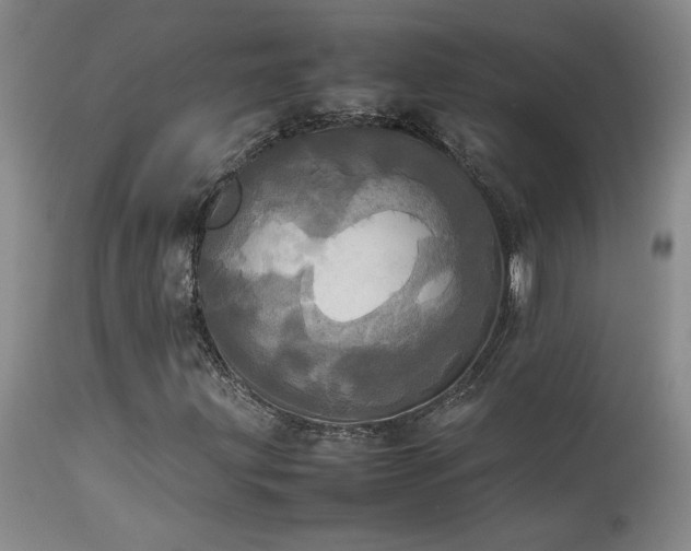 X0000114111203200910051505