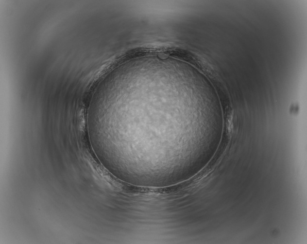 X0000114111204200910051505