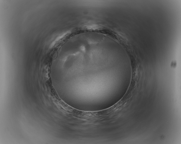 X0000114111205200910051505