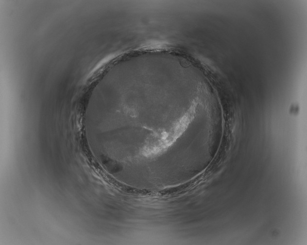 X0000114111206200910051505