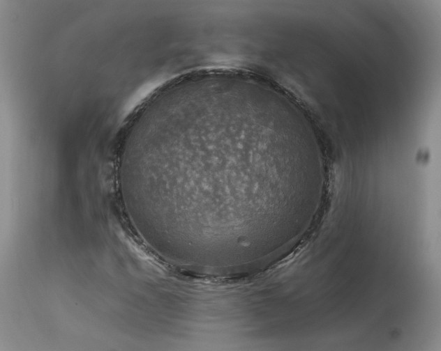 X0000114111208200910051505