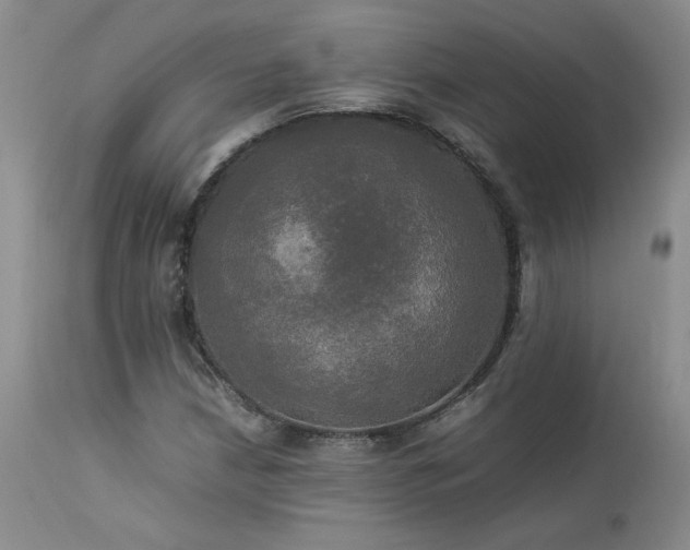 X0000114111210200910051505