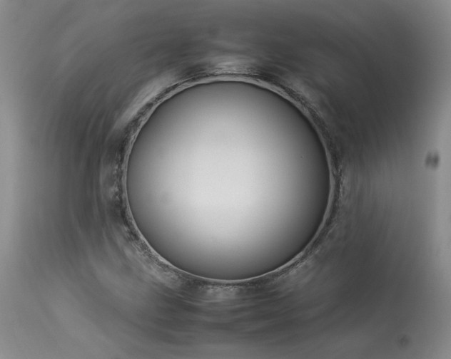 X0000114111211200910051505