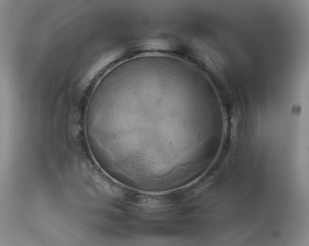 X0000114111213200910051505
