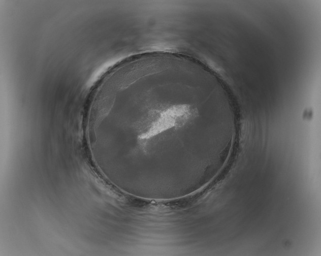 X0000114111214200910051505
