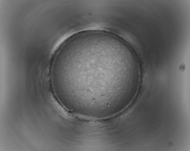 X0000114111216200910051505