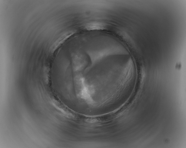 X0000114111217200910051505