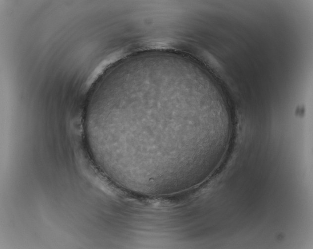 X0000114111218200910051505