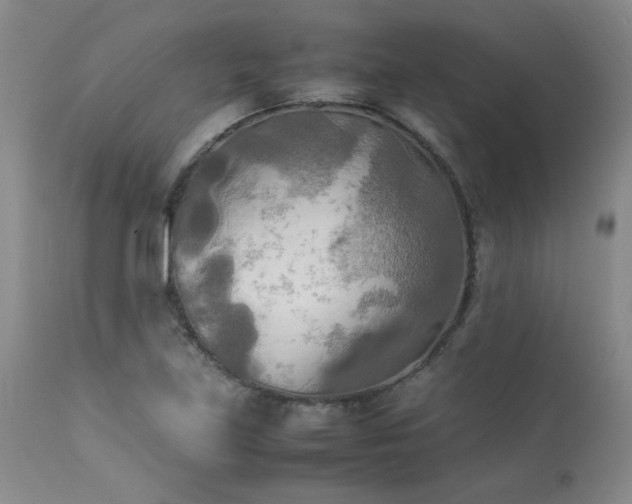 X0000114111219200910051505