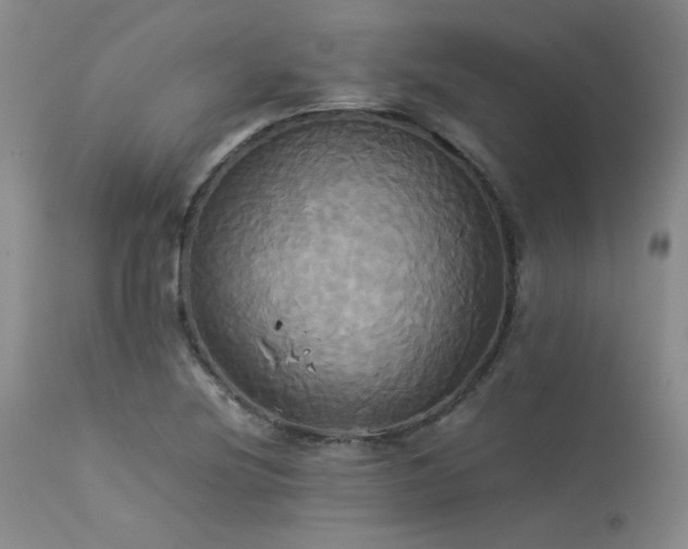 X0000114111220200910051505