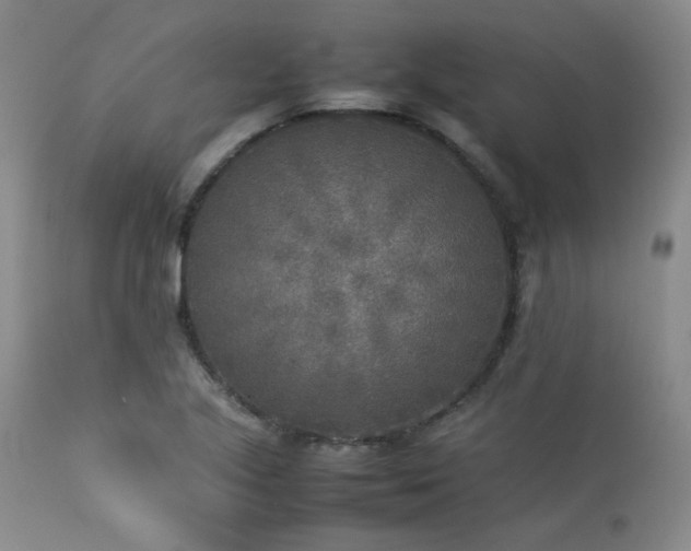 X0000114111221200910051505