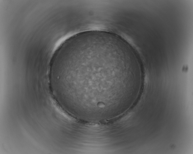 X0000114111222200910051505