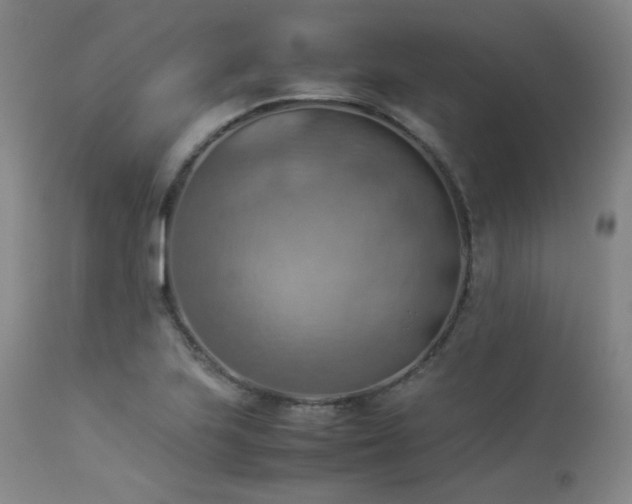 X0000114111223200910051505