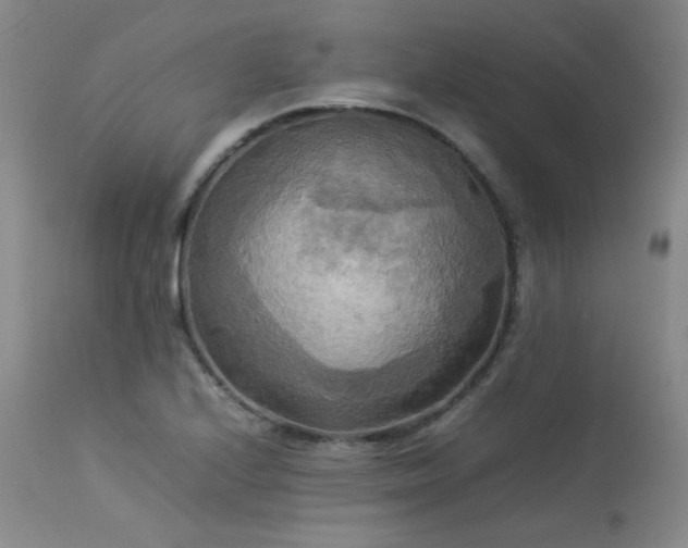 X0000114111224200910051505