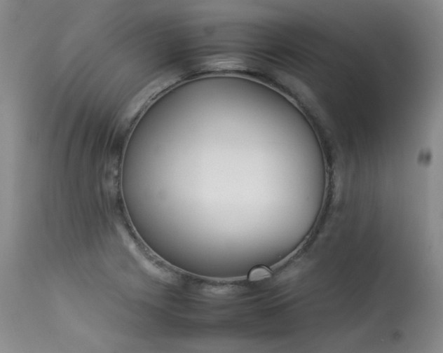 X0000114111225200910051505