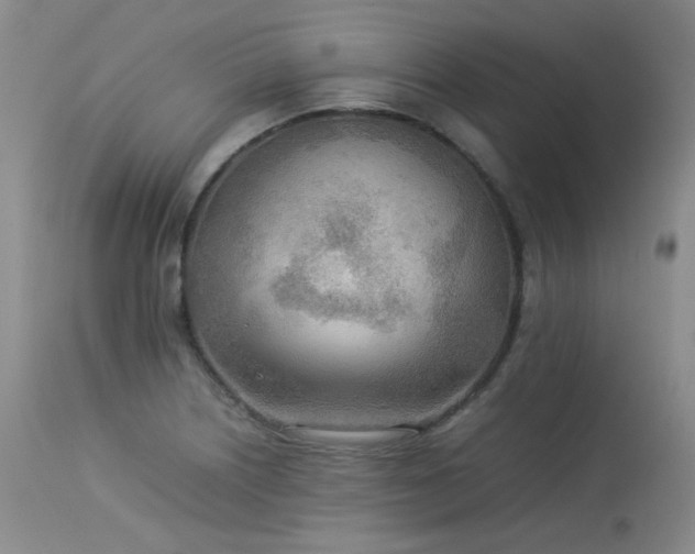 X0000114111226200910051505