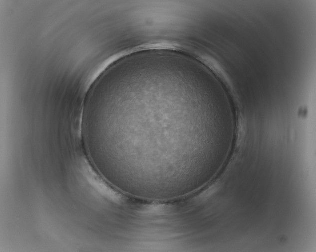 X0000114111228200910051505