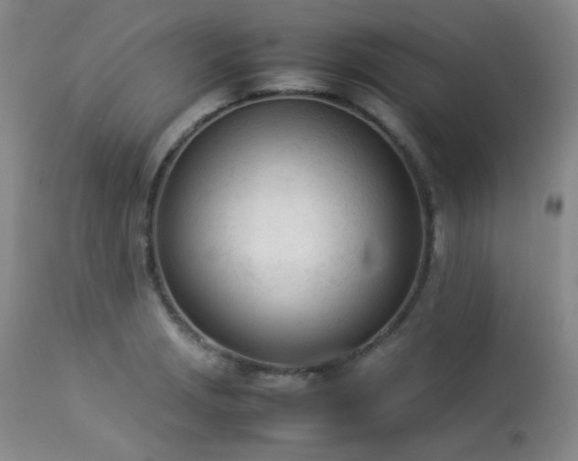 X0000114111229200910051505